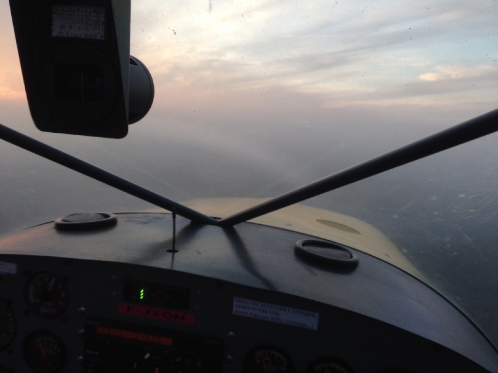 Fog10
