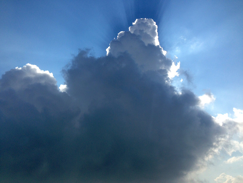 Rayons