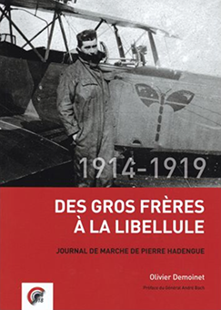 libellule2