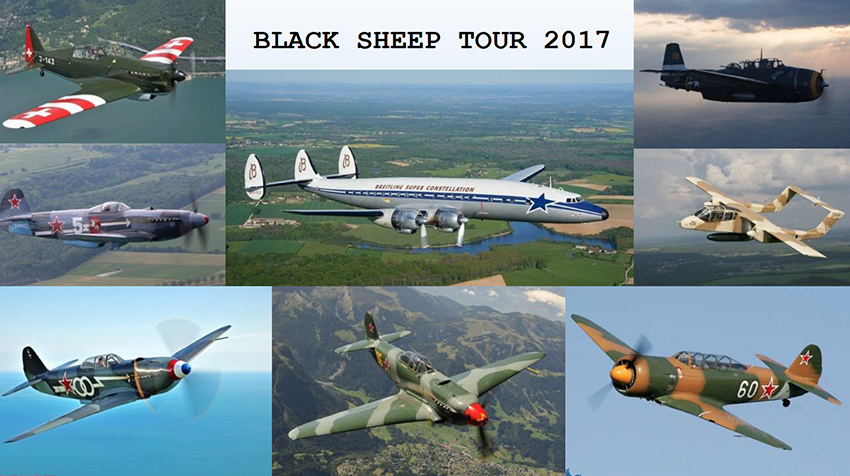 sheeptour