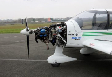 drrotax2
