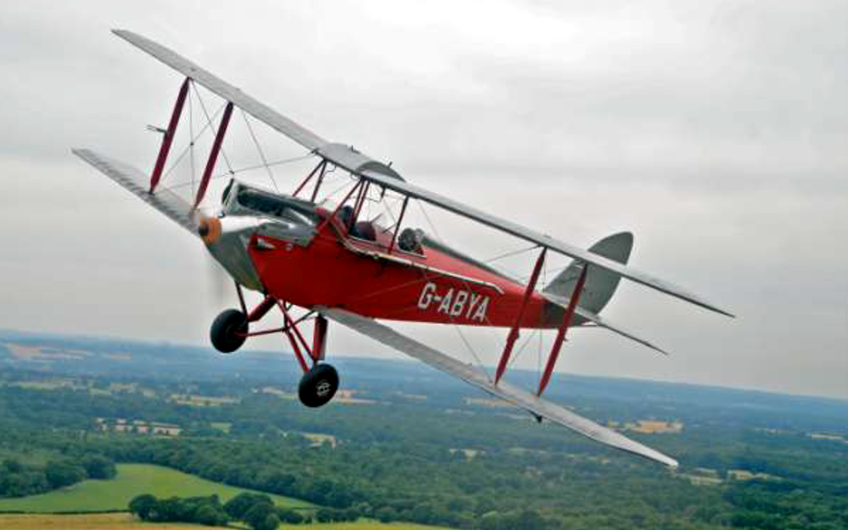 gipsymoth