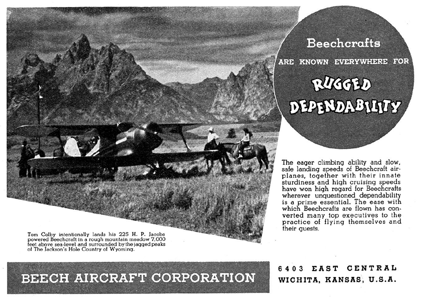 Beech1