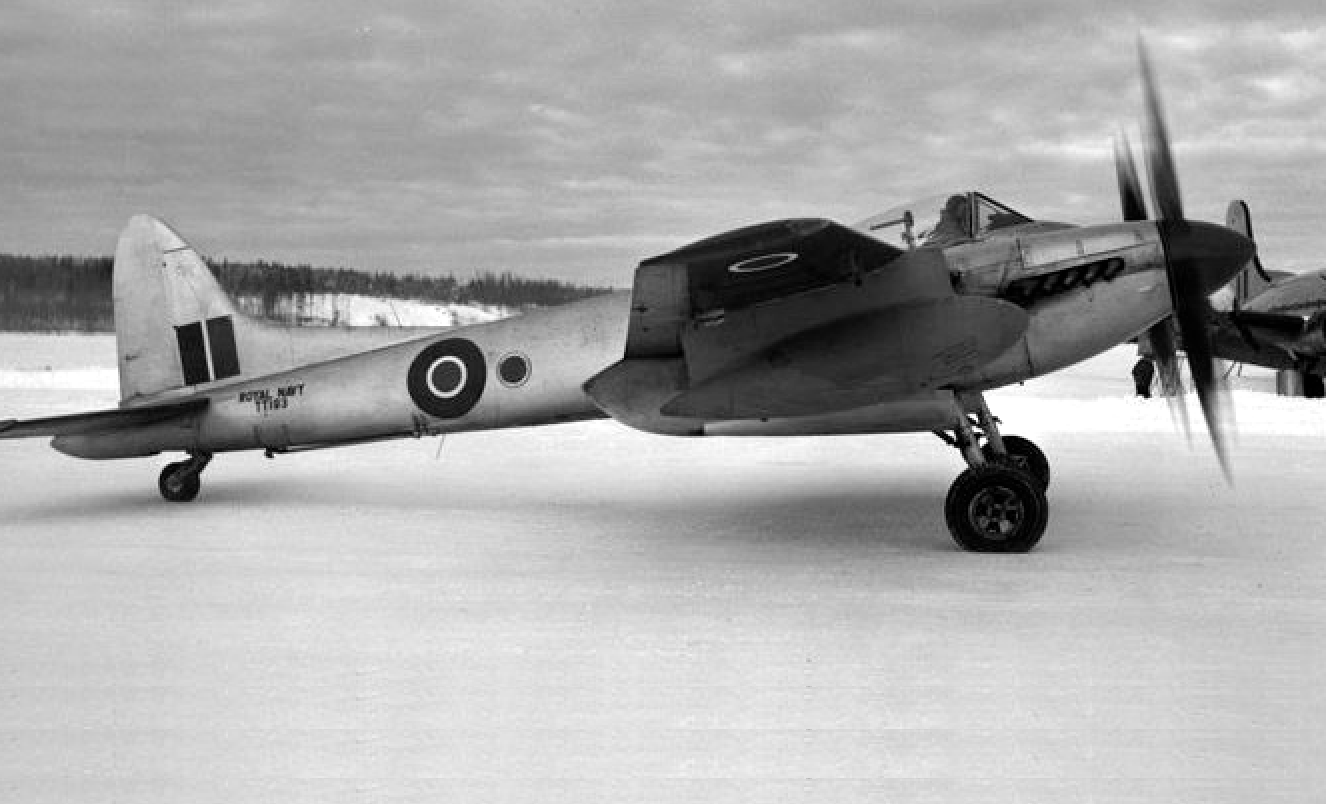 Hornet