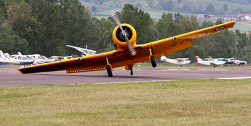 T6Gloop